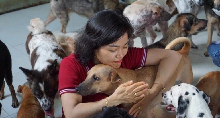 Sân Nhà Nhiều Chó 1 768x413