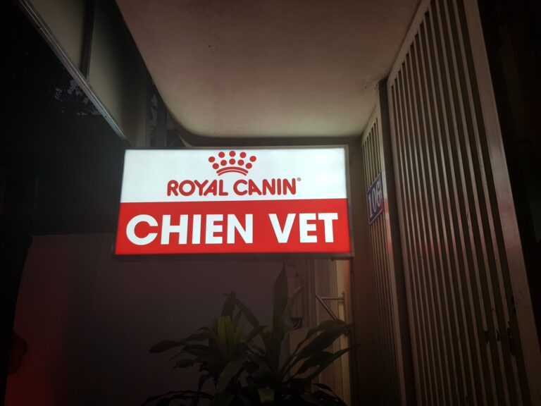 Địa điểm thú cưng 123506051 3379407932178563 8227756564706174959 n 768x576