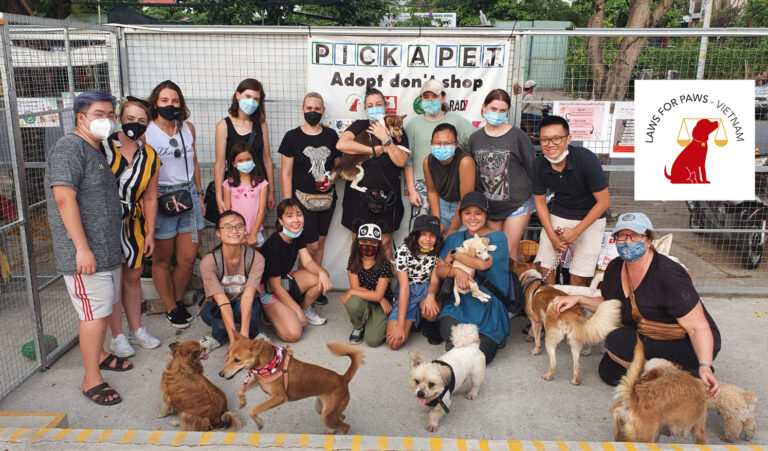 274140039 1097859827672128 3861144264188176999 n 768x451