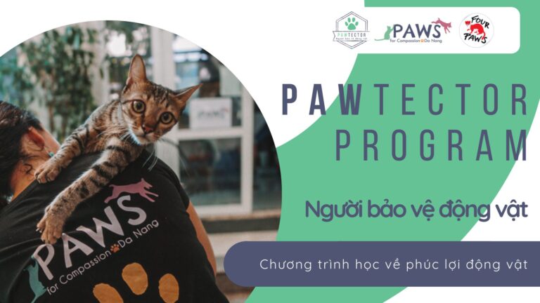 277578407 1602464353454903 4416626386974745657 n 768x432