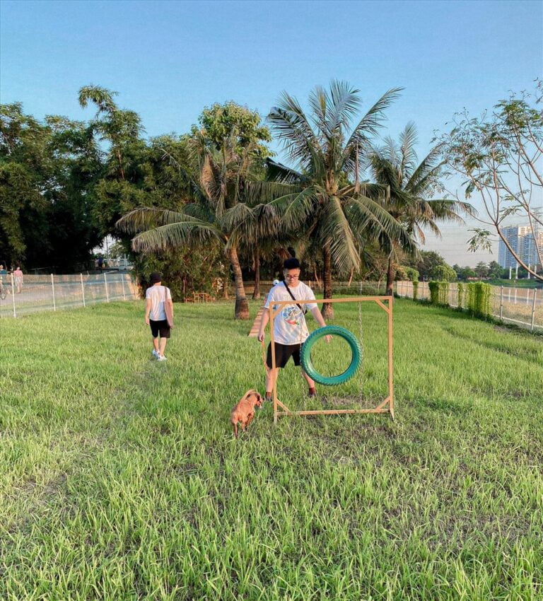 Địa điểm thú cưng 295382960 2022493657 768x850