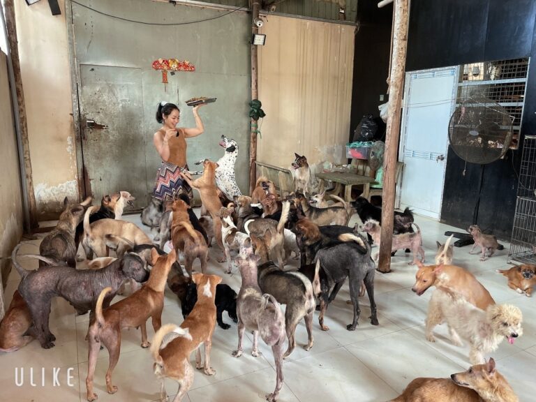 315706460 2031930743683677 8277076703159086679 n 768x576