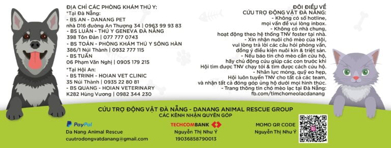 Sân Nhà Nhiều Chó 327141747 758062582409977 8508135688882731877 n 768x292