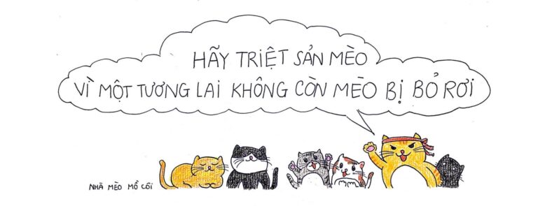 337727200 204971395492866 6427890065479619130 n 768x295