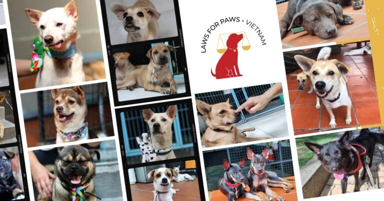 344746708 862375332114823 6383652237885421686 n 768x402