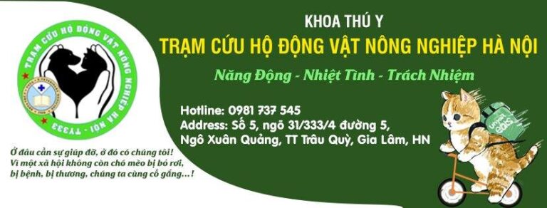 347847253 268543169072523 2099005426919844813 n 768x292