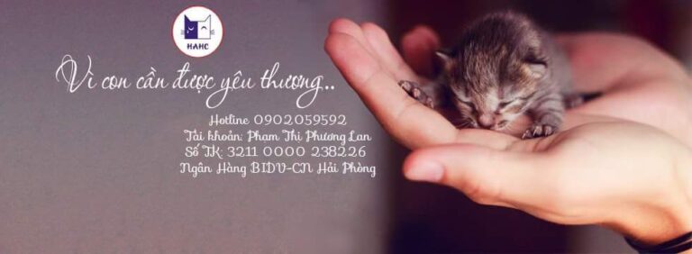 353057023 269540182256542 7658077139888185367 n 768x282