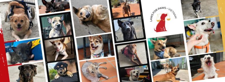 425953337 800324642135642 8777970854424030497 n 768x281