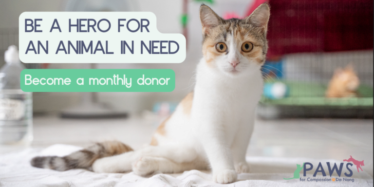 428257580 407144845051400 5966643163144264827 n 768x384