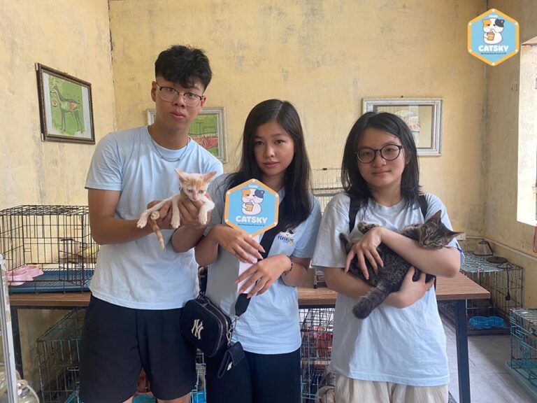 451207274 879030580934410 8373871195821834180 n 768x576