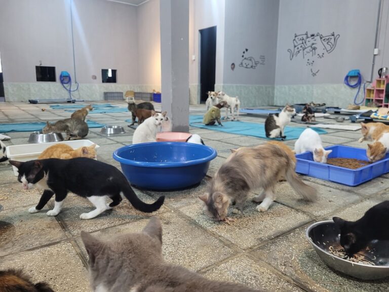 452194378 494929212938191 7809299612159006938 n 768x576