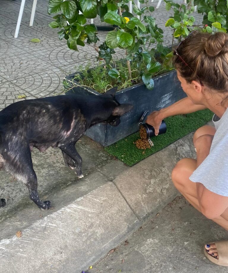 453775600 18453349858026463 4031484742409429668 n 768x918