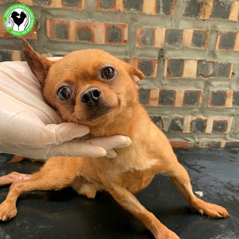 453875739 892042312966570 449216303764545759 n 768x768