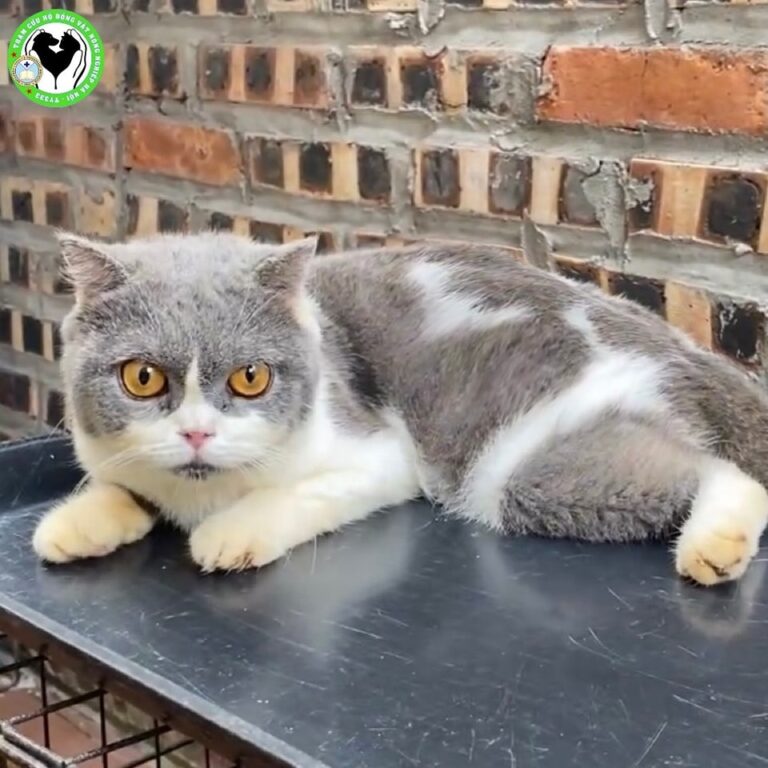 454234367 892042349633233 1697959898097021503 n 768x768