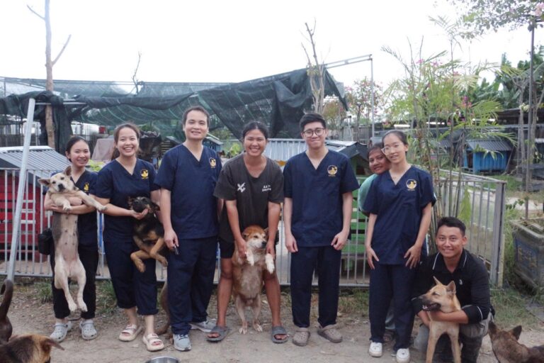 454683338 867781898738622 6406829025029177412 n 768x512