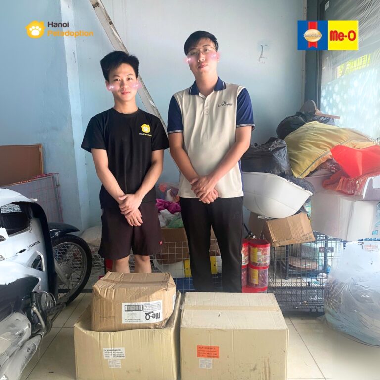 Nhận Nuôi Thú Cưng - Hanoi Pet Adoption 455870242 903311248503353 6531950240171676203 n 768x768