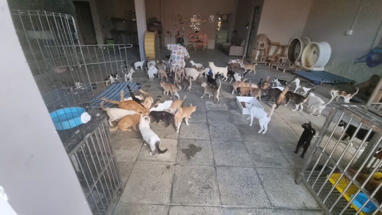 456420862 512577164506729 1793585371072084442 n 768x432