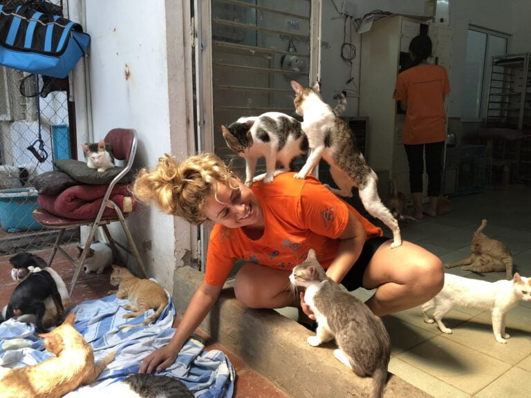 Sân Nhà Nhiều Chó 61215204 2696943376987366 2353965012504018944 n 768x576