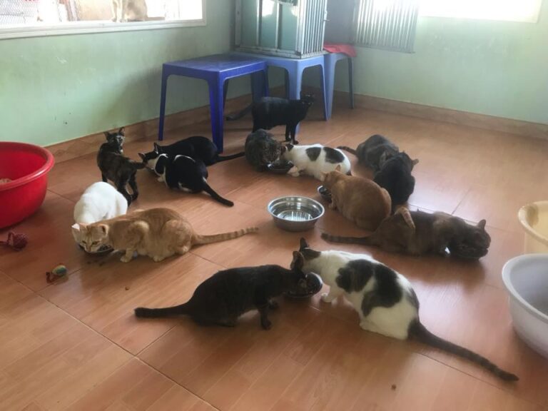 64225609 2427563117320637 5616450659063693312 n 768x576