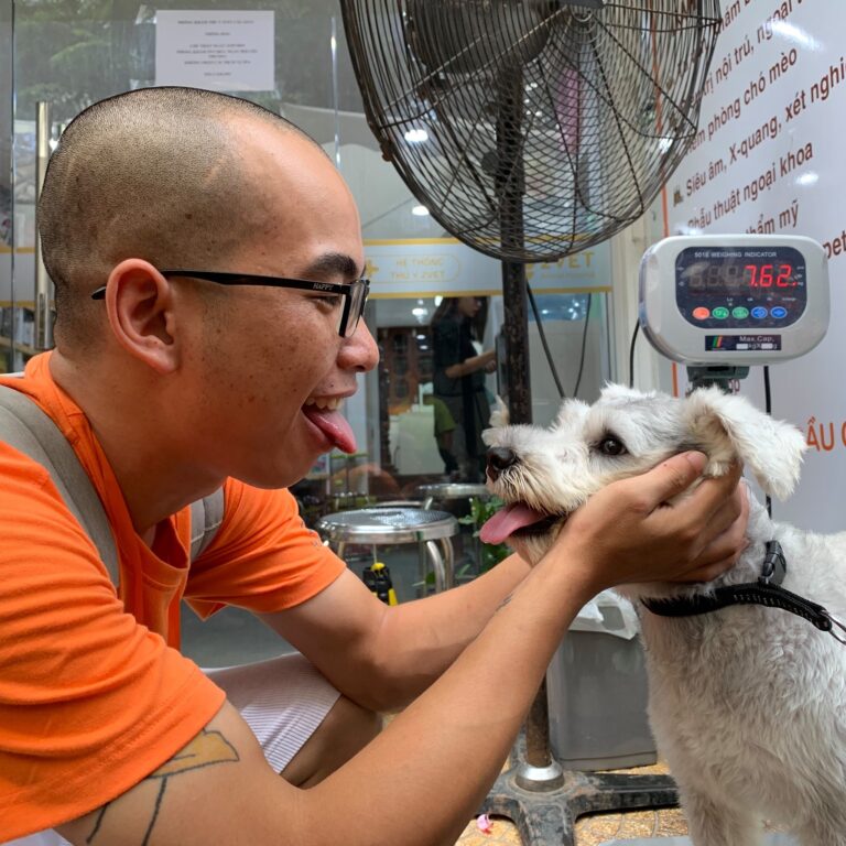 67379993 2803540072994362 439520599153311744 n 768x768