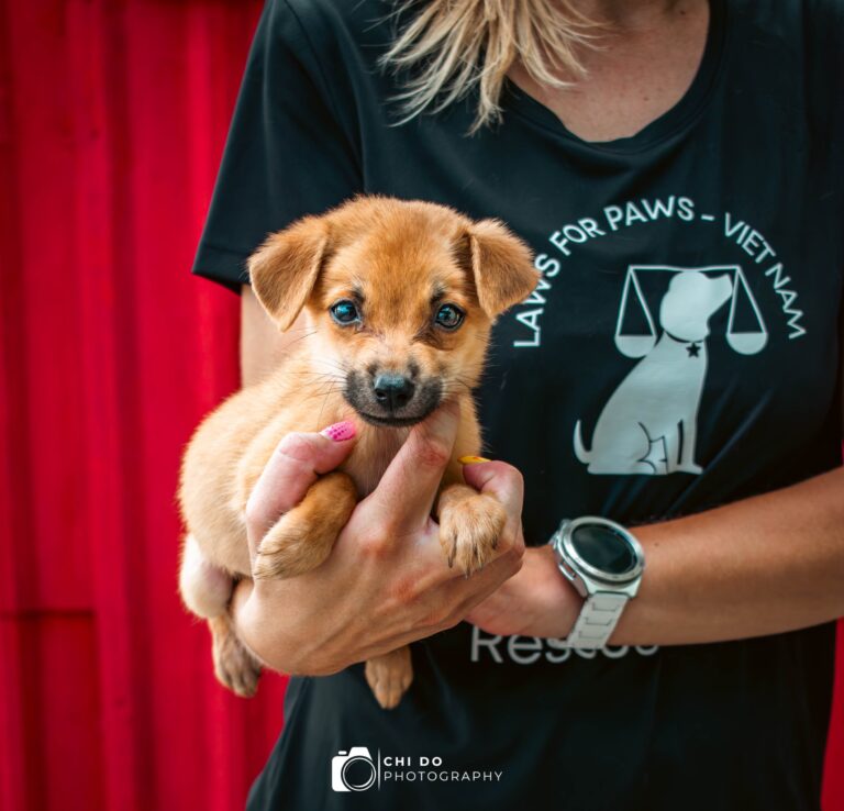 DSC 0379 Enhanced NR 768x738