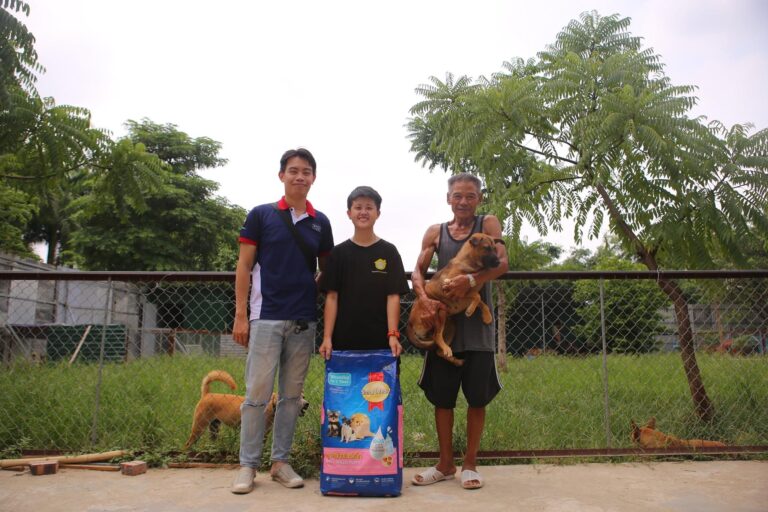 Nhận Nuôi Thú Cưng - Hanoi Pet Adoption d2d09f6a 19cc 41a9 922a 23aeb493bcbf 768x512