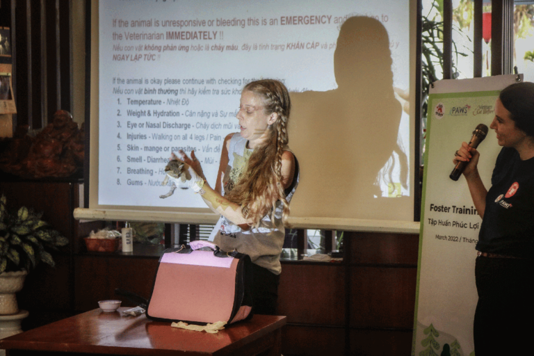 outing 2022 3 768x512