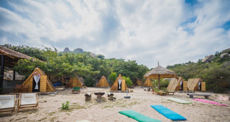 Du Lịch Sinh Thái Sao Biển - Cam Ranh 12525238 588344091329987 6386126064713622090 o 768x410