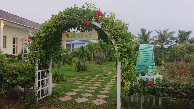 Du Lịch Sinh Thái Sao Biển - Cam Ranh 2020 10 27 768x432