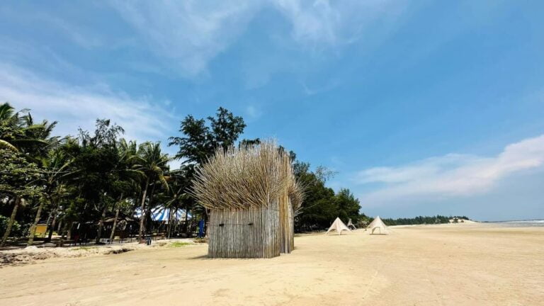 Du Lịch Sinh Thái Sao Biển - Cam Ranh 2023 09 07 768x432