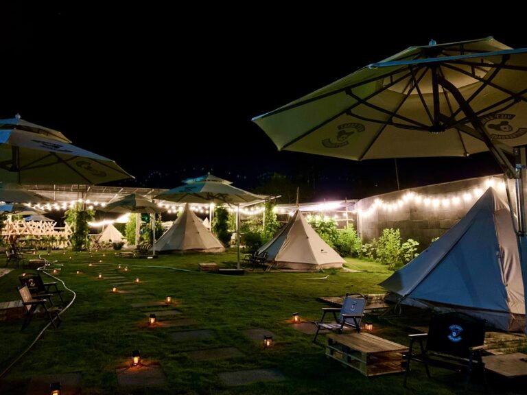 291637628 134582725916597 3871696714237089388 n 768x576