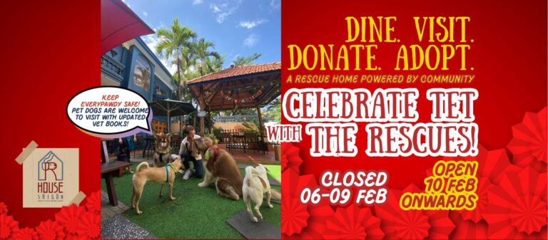 424842141 891897499606564 8544497673168562999 n 768x337