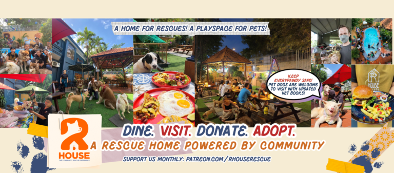 428607430 903005331829114 4349780215615764649 n 768x337