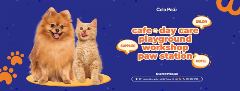 454233917 418767847858531 4401364768703053077 n 768x293