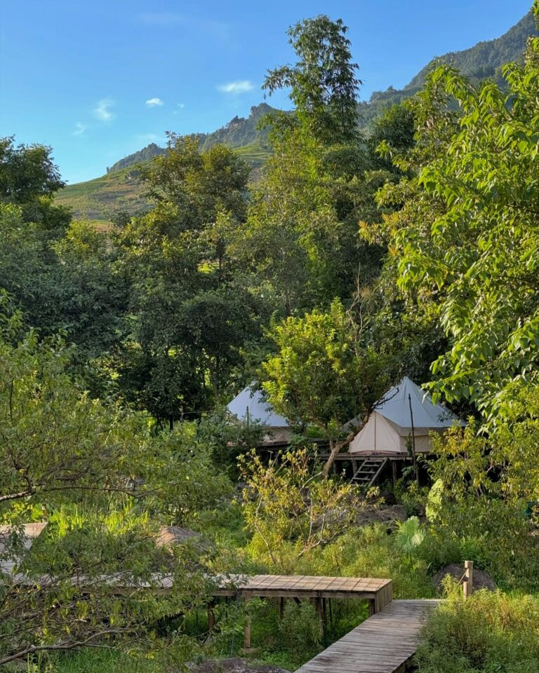 456688804 17976280346753721 3872553232360527772 n 768x960