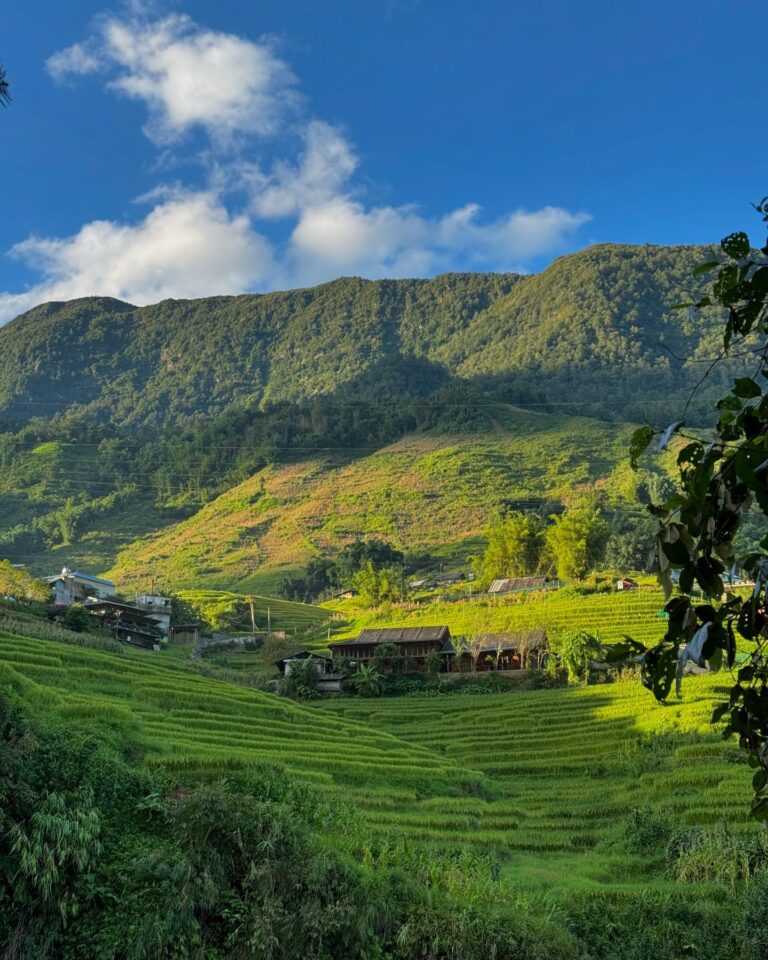 456948304 17976280337753721 8763079498306882714 n 768x960